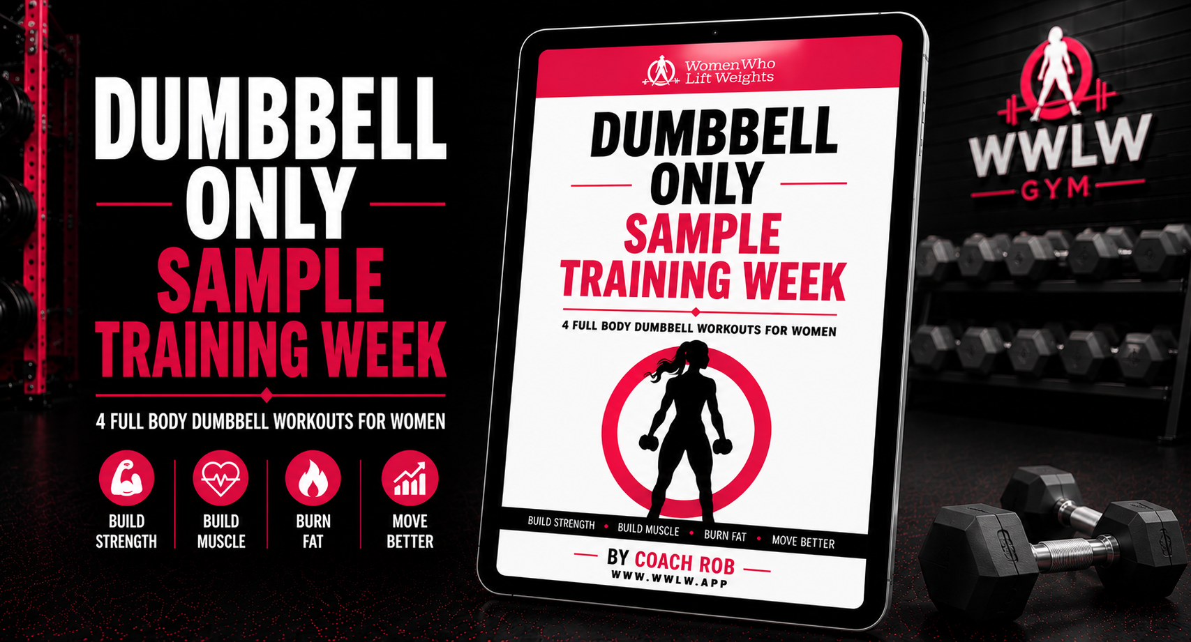 Dumbbell Only Sample Training Week
