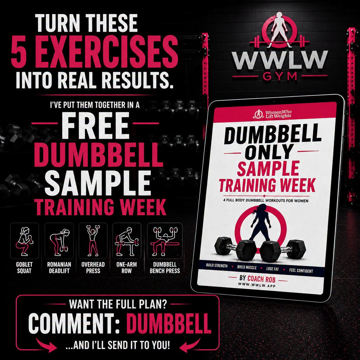 Dumbbell Only Sample Training Week
