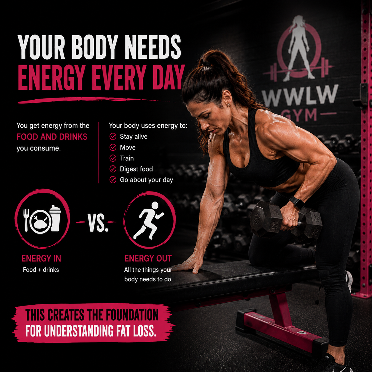 The Simple Science Behind Fat Loss