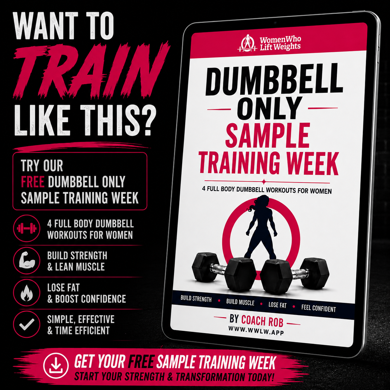 Dumbbell Only Sample Training Week