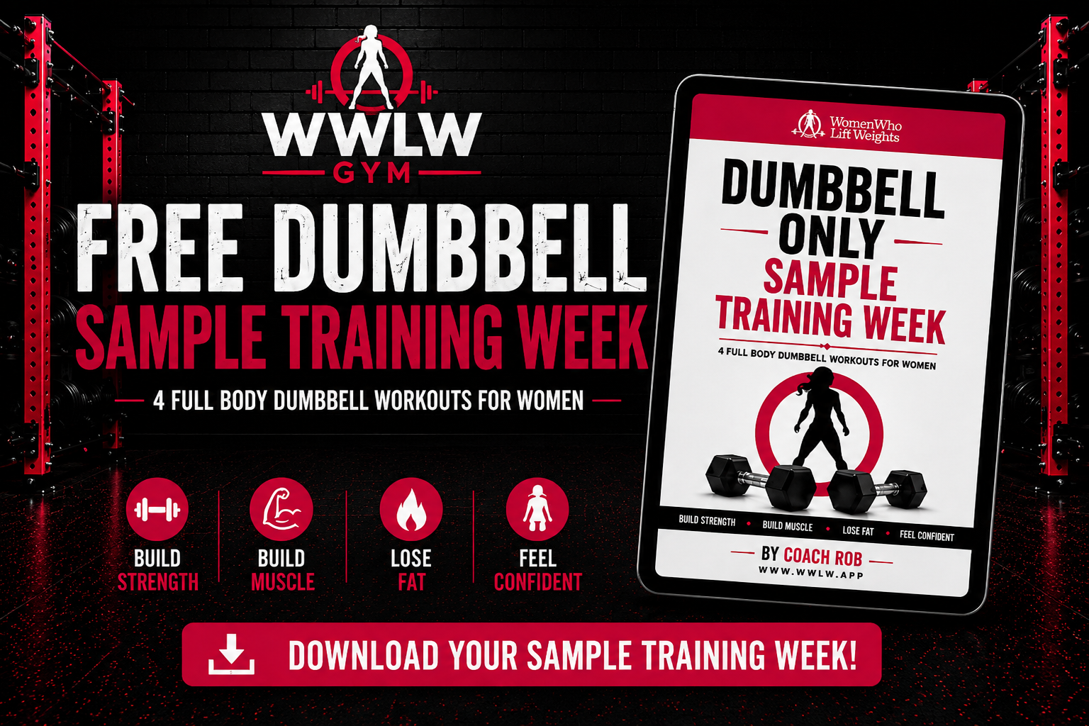 Free Dumbbell Only Sample Training Week